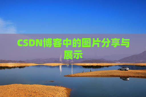 CSDN博客中的图片分享与展示